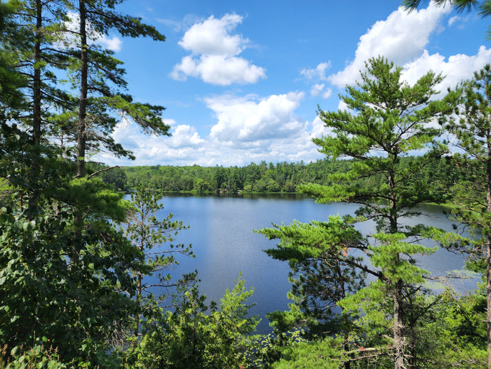 Eels Creek to High Falls, Peterborough ON