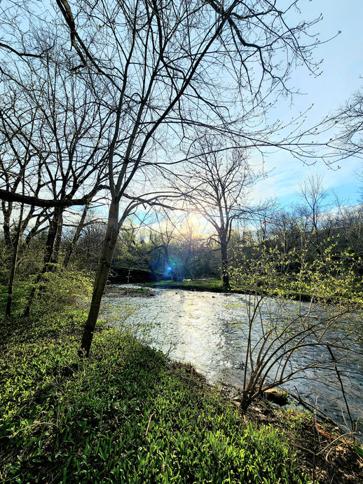 Hidden Valley Park, May 6